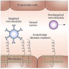 contrast agent